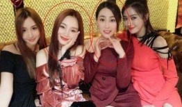 娱乐圈爆料塑料姐妹,揭秘背后的真相与利益纠葛