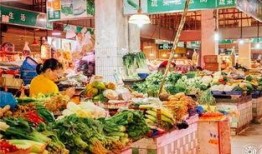 深圳菜市场爆料视频最新,探寻市井烟火气中的美食宝藏