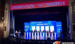 岳阳爆料新闻最新消息今天,突发事件引发关注，详情即将揭晓