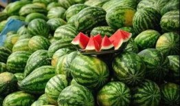 免费吃瓜渠道入口在哪,一网打尽各大免费瓜源入口